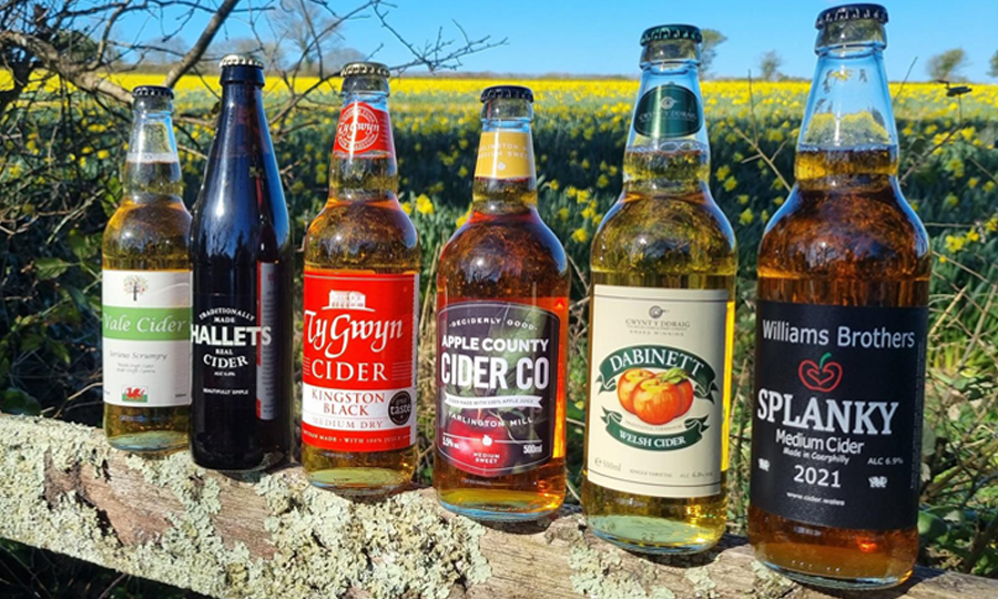 The Welsh Cider Case March's Cider Subscription Case Bristol Cider