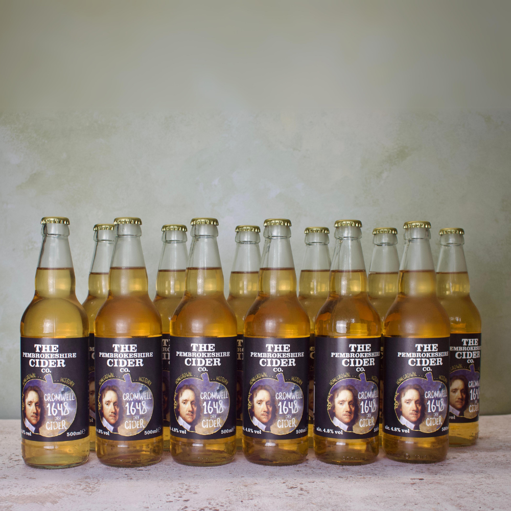 The Pembrokeshire Cider Co Cromwell 1684 Dry 12 x 500ml Bristol