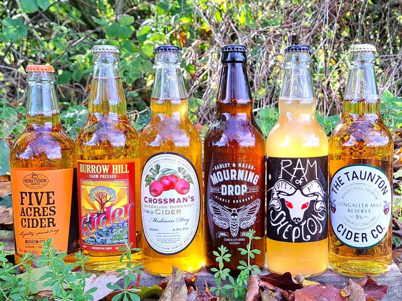 The Brilliant Blends Case November 2022 Bristol Cider Shop Ltd