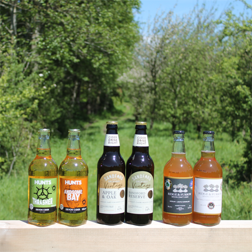 3 Month Cider Gift Subscription Bristol Cider Shop Ltd