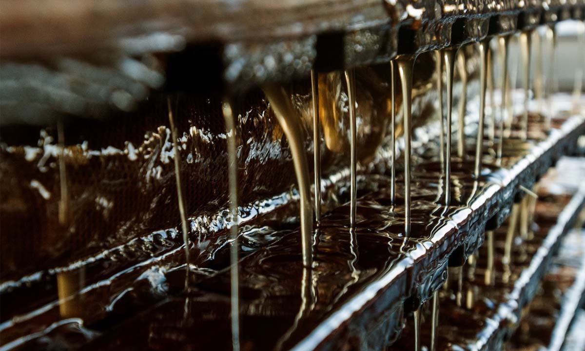 Craft Cider vs. Commercial Cider