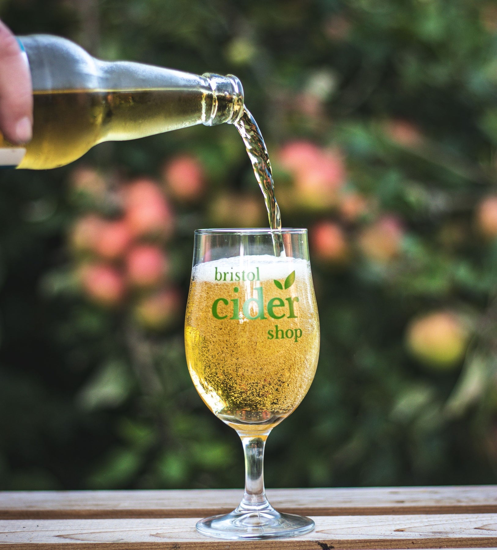 AwardWinning Craft Cider Mixed Case x 12 Bristol Cider Shop Ltd