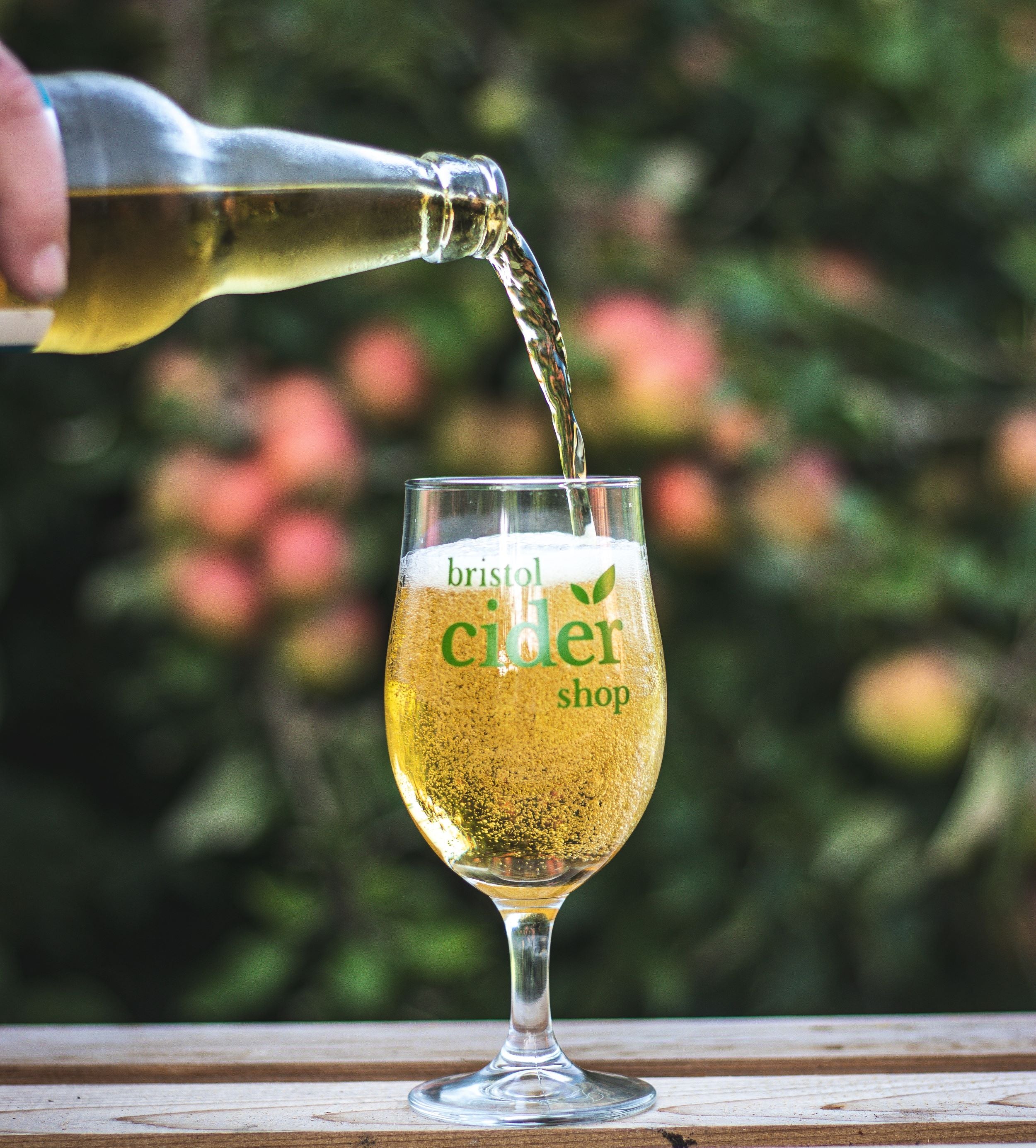 Somerset Favourites Cider Case with Free Cider Map