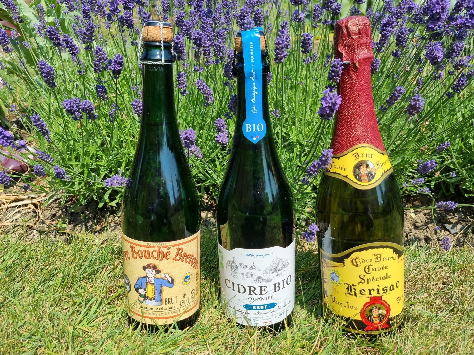 French Breton Sparkling Cider mixed case Bristol Cider Shop Ltd