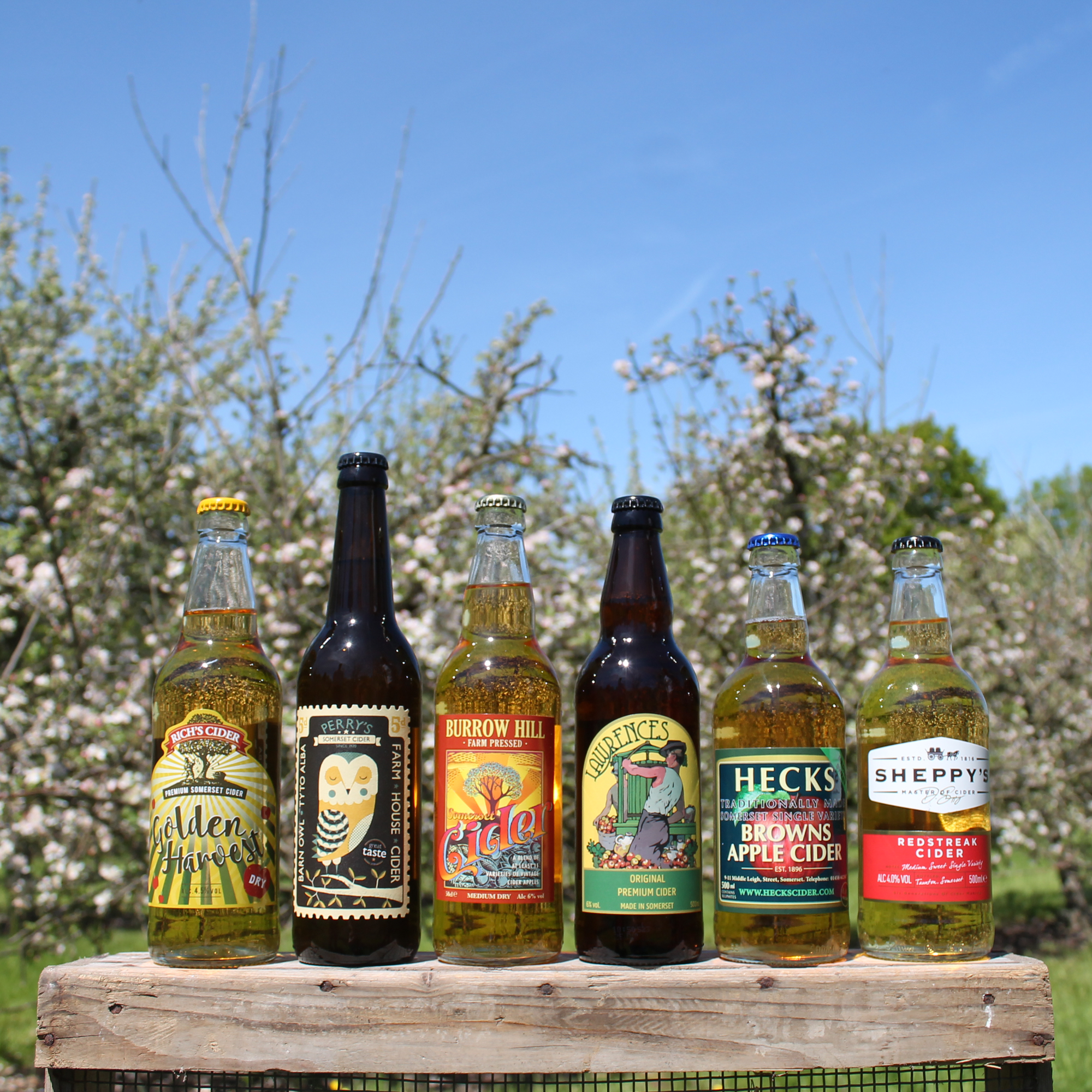 Somerset Favourites Cider Case with Free Cider Map