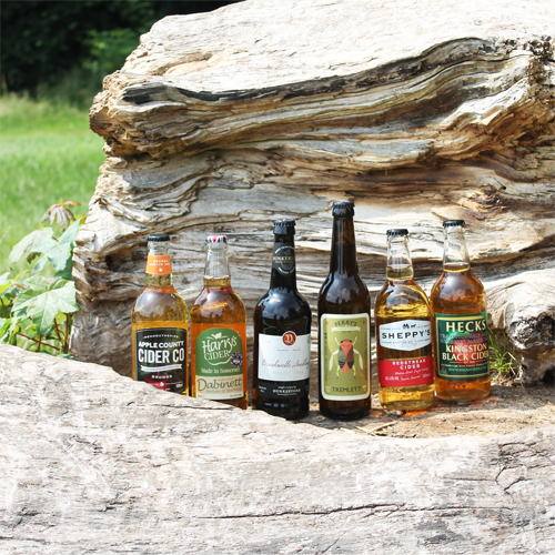 Craft Cider Subscription - Monthly