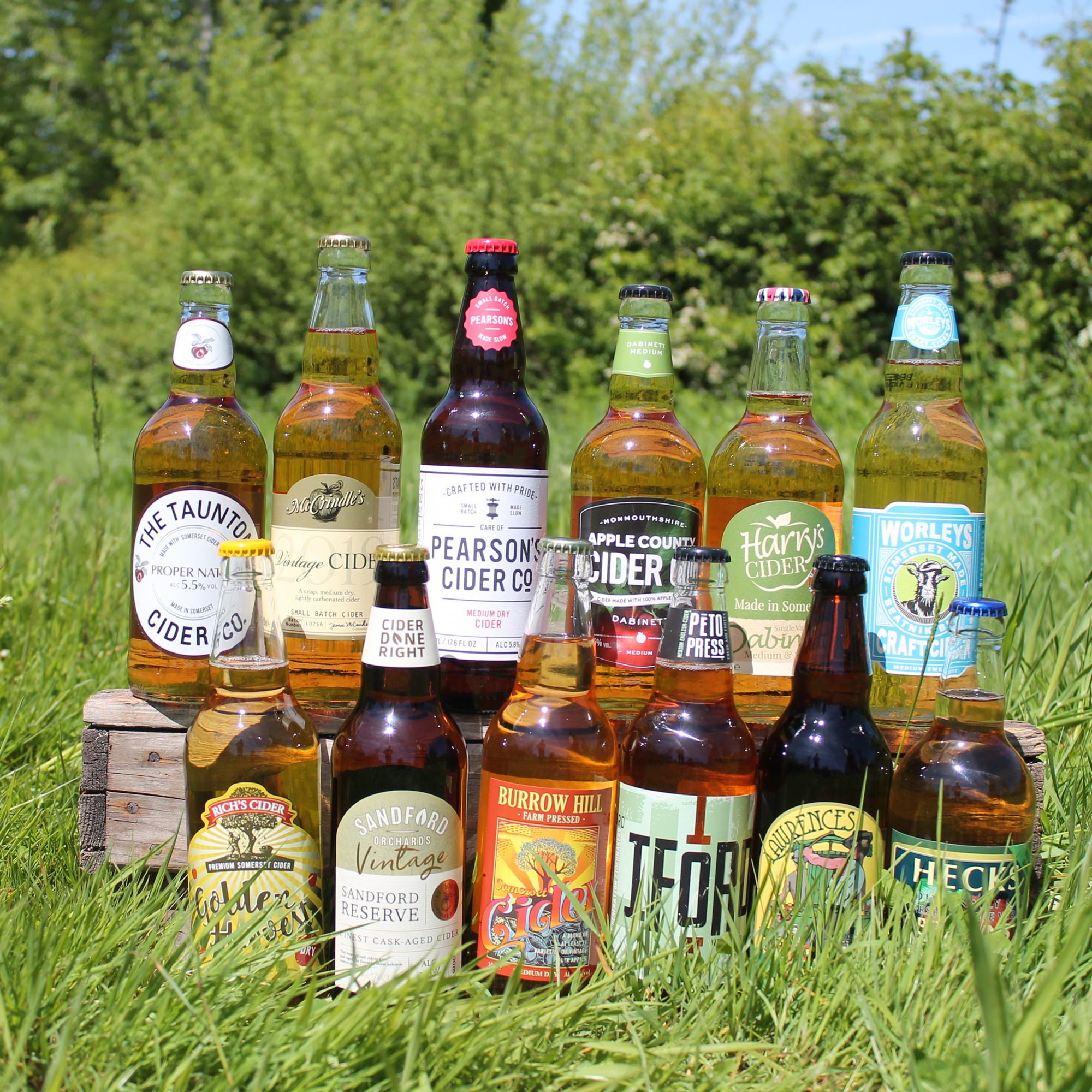 Award-Winning Craft Cider Mixed Case x 12